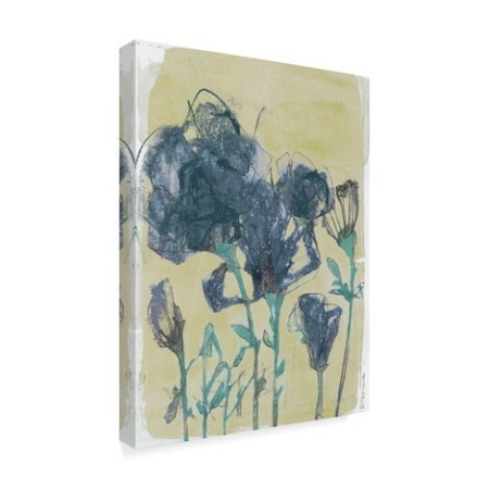Trademark Fine Art Jennifer Goldberger 'Floral Vignette Iii' Canvas Art, 14x19 WAG01163-C1419GG